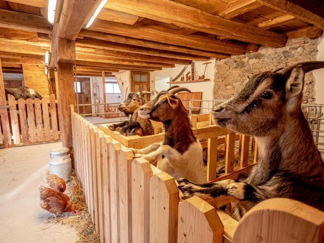 Zeiserhof Ramsau am Dachstein Exterior foto